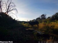 Frio Canyon Real Estate - Martin Martinez