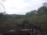 Frio Canyon Real Estate - Martin Martinez