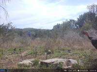Frio Canyon Real Estate - Martin Martinez