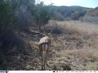 Frio Canyon Real Estate - Martin Martinez