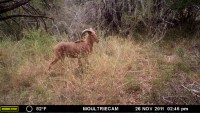 Frio Canyon Real Estate - Martin Martinez