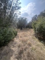 Frio Canyon Real Estate - Martin Martinez