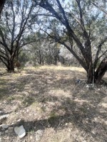 Frio Canyon Real Estate - Martin Martinez