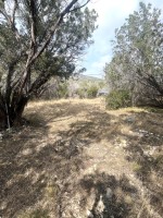 Frio Canyon Real Estate - Martin Martinez