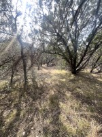 Frio Canyon Real Estate - Martin Martinez
