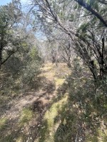 Frio Canyon Real Estate - Martin Martinez