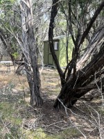 Frio Canyon Real Estate - Martin Martinez