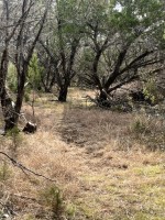 Frio Canyon Real Estate - Martin Martinez