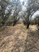 Frio Canyon Real Estate - Martin Martinez