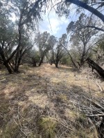 Frio Canyon Real Estate - Martin Martinez