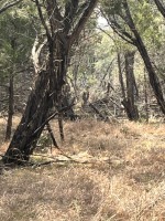 Frio Canyon Real Estate - Martin Martinez