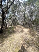 Frio Canyon Real Estate - Martin Martinez