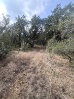 Frio Canyon Real Estate - Martin Martinez