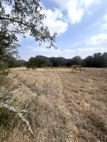 Frio Canyon Real Estate - Martin Martinez