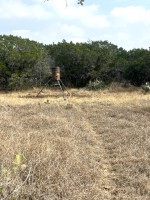 Frio Canyon Real Estate - Martin Martinez