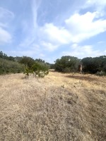 Frio Canyon Real Estate - Martin Martinez