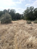 Frio Canyon Real Estate - Martin Martinez