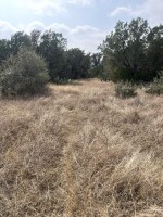 Frio Canyon Real Estate - Martin Martinez