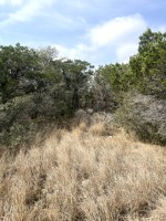 Frio Canyon Real Estate - Martin Martinez