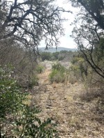 Frio Canyon Real Estate - Martin Martinez