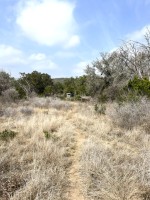 Frio Canyon Real Estate - Martin Martinez