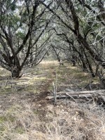 Frio Canyon Real Estate - Martin Martinez