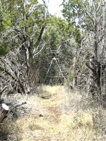 Frio Canyon Real Estate - Martin Martinez
