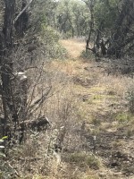 Frio Canyon Real Estate - Martin Martinez