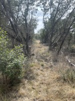 Frio Canyon Real Estate - Martin Martinez