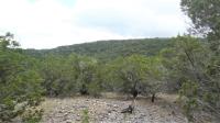 Frio Canyon Real Estate - Martin Martinez