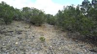Frio Canyon Real Estate - Martin Martinez