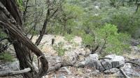 Frio Canyon Real Estate - Martin Martinez