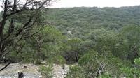 Frio Canyon Real Estate - Martin Martinez