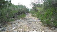 Frio Canyon Real Estate - Martin Martinez