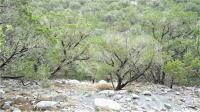 Frio Canyon Real Estate - Martin Martinez