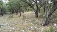 Frio Canyon Real Estate - Martin Martinez