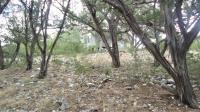 Frio Canyon Real Estate - Martin Martinez