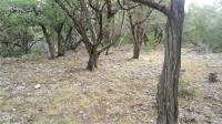 Frio Canyon Real Estate - Martin Martinez