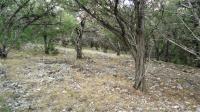 Frio Canyon Real Estate - Martin Martinez