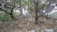 Frio Canyon Real Estate - Martin Martinez