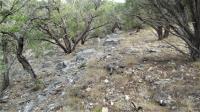 Frio Canyon Real Estate - Martin Martinez