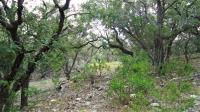 Frio Canyon Real Estate - Martin Martinez