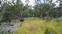 Frio Canyon Real Estate - Martin Martinez