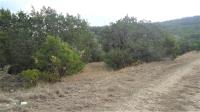 Frio Canyon Real Estate - Martin Martinez