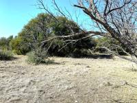 Frio Canyon Real Estate - Martin Martinez