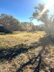 Frio Canyon Real Estate - Martin Martinez