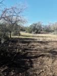 Frio Canyon Real Estate - Martin Martinez