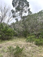 Frio Canyon Real Estate - Martin Martinez