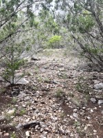 Frio Canyon Real Estate - Martin Martinez