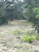 Frio Canyon Real Estate - Martin Martinez